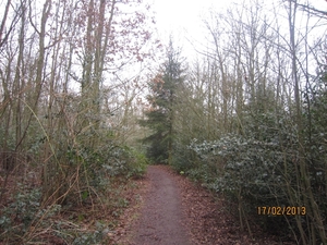 Putte Ravenhof met bosgeuzen 17-2-2013 006
