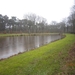 Putte Ravenhof met bosgeuzen 17-2-2013 007
