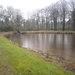 Putte Ravenhof met bosgeuzen 17-2-2013 008