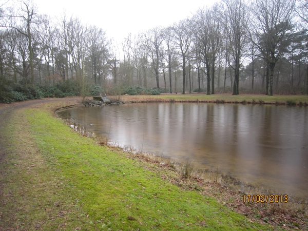 Putte Ravenhof met bosgeuzen 17-2-2013 008
