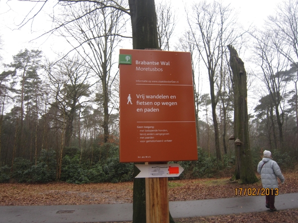 Putte Ravenhof met bosgeuzen 17-2-2013 010