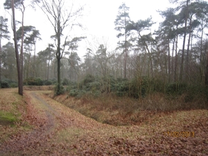 Putte Ravenhof met bosgeuzen 17-2-2013 011