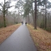 Putte Ravenhof met bosgeuzen 17-2-2013 012