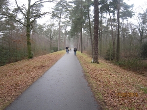 Putte Ravenhof met bosgeuzen 17-2-2013 012
