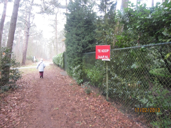 Putte Ravenhof met bosgeuzen 17-2-2013 016