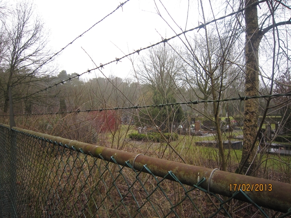 Putte Ravenhof met bosgeuzen 17-2-2013 021