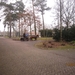 Putte Ravenhof met bosgeuzen 17-2-2013 022