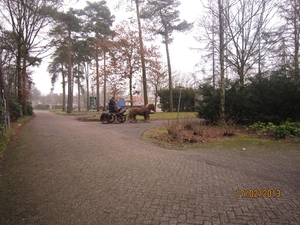 Putte Ravenhof met bosgeuzen 17-2-2013 022