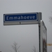 Putte Ravenhof met bosgeuzen 17-2-2013 024
