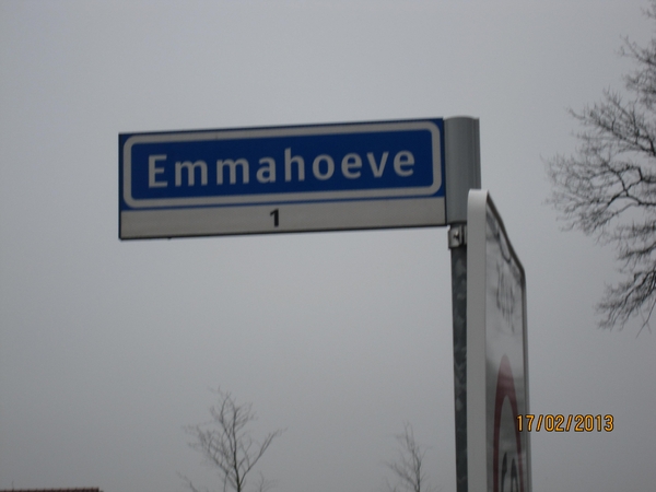 Putte Ravenhof met bosgeuzen 17-2-2013 024