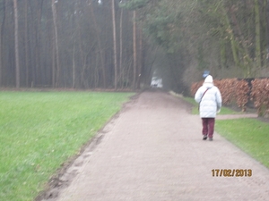 Putte Ravenhof met bosgeuzen 17-2-2013 025