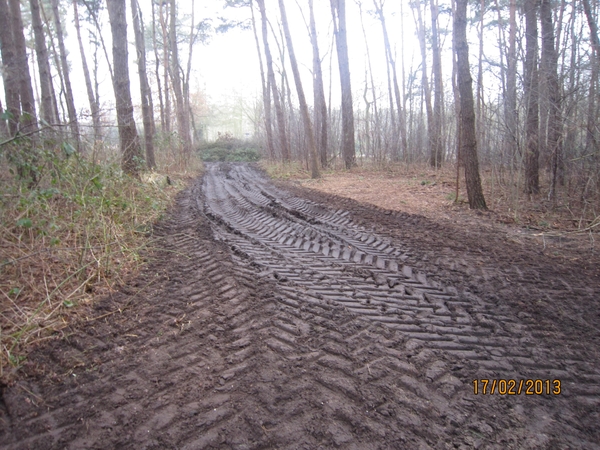 Putte Ravenhof met bosgeuzen 17-2-2013 027