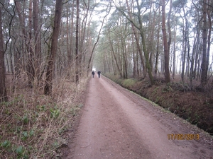 Putte Ravenhof met bosgeuzen 17-2-2013 028