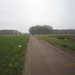 Putte Ravenhof met bosgeuzen 17-2-2013 029