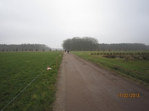 Putte Ravenhof met bosgeuzen 17-2-2013 029