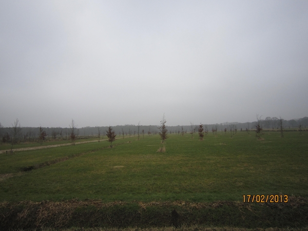 Putte Ravenhof met bosgeuzen 17-2-2013 031