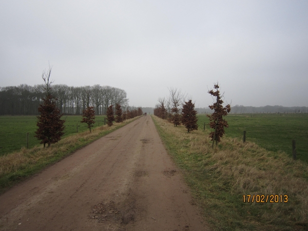 Putte Ravenhof met bosgeuzen 17-2-2013 034