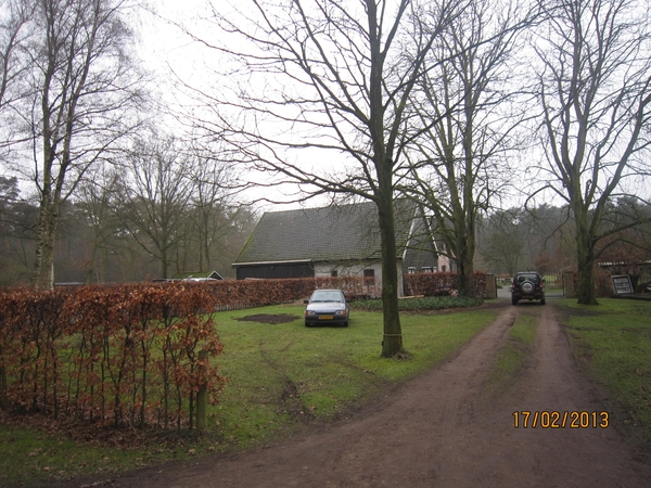 Putte Ravenhof met bosgeuzen 17-2-2013 035