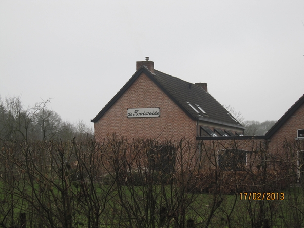 Putte Ravenhof met bosgeuzen 17-2-2013 038