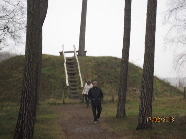 Putte Ravenhof met bosgeuzen 17-2-2013 040