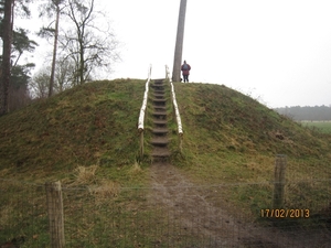 Putte Ravenhof met bosgeuzen 17-2-2013 041