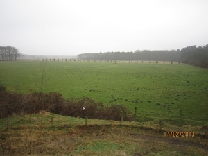 Putte Ravenhof met bosgeuzen 17-2-2013 042