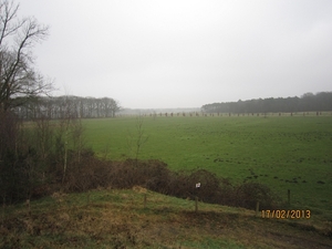 Putte Ravenhof met bosgeuzen 17-2-2013 043