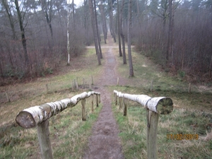 Putte Ravenhof met bosgeuzen 17-2-2013 045