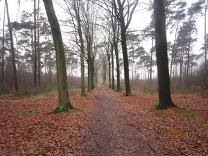 Putte Ravenhof met bosgeuzen 17-2-2013 046