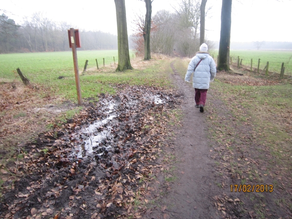 Putte Ravenhof met bosgeuzen 17-2-2013 047