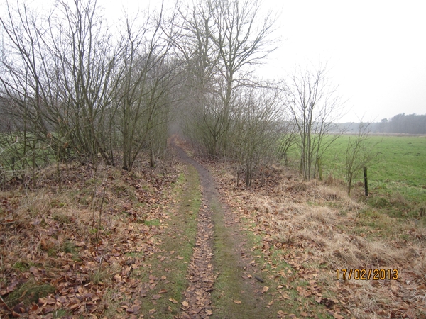 Putte Ravenhof met bosgeuzen 17-2-2013 048