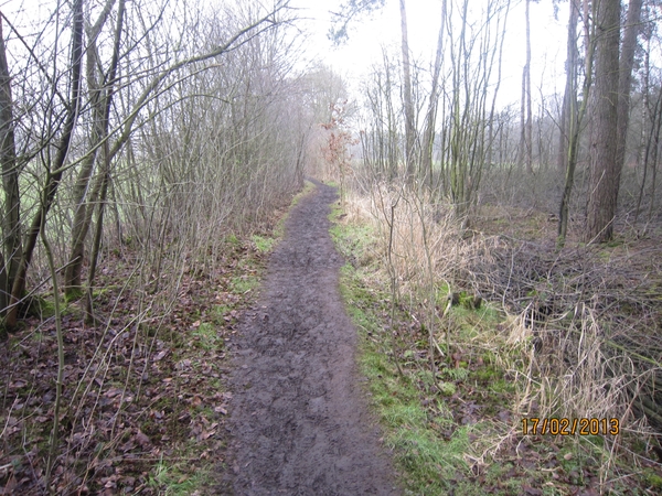 Putte Ravenhof met bosgeuzen 17-2-2013 051