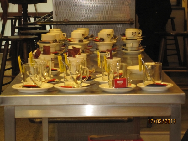 Putte Ravenhof met bosgeuzen 17-2-2013 053