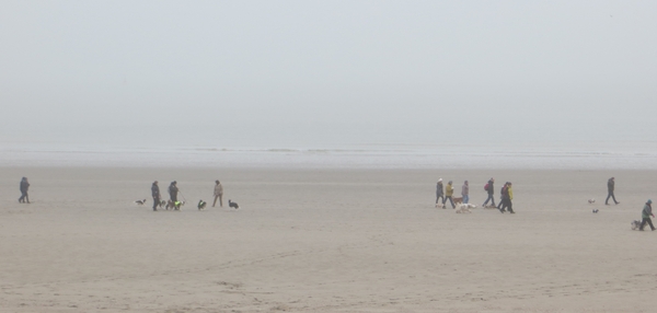 2013-02 17 Oostende 015