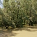 e 2012-06-03 Roemenië Tulcea_0016