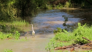 e 2012-06-03 Roemenië Tulcea_0023