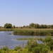 e 2012-06-03 Roemenië Tulcea_0029