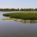 e 2012-06-03 Roemenië Tulcea_0048