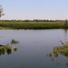 e 2012-06-03 Roemenië Tulcea_0075