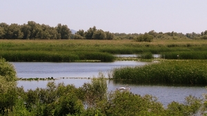 e 2012-06-03 Roemenië Tulcea_0080