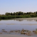 e 2012-06-03 Roemenië Tulcea_0089