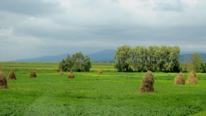 h 2012-06-06 Roemenië Sibiu-Hunedoara Kecskemet Honga_0100