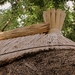i 2012-06-07 Kecskemet-Boedapest_0012