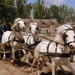 i 2012-06-07 Kecskemet-Boedapest_0179