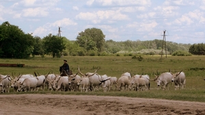 i 2012-06-07 Kecskemet-Boedapest_0216