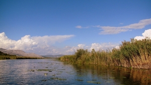 j Metkovic Neretva-rivier_0195