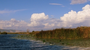 j Metkovic Neretva-rivier_0226