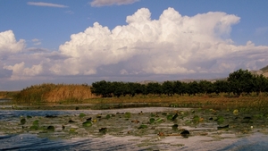 j Metkovic Neretva-rivier_0229