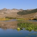 j Metkovic Neretva-rivier_0260