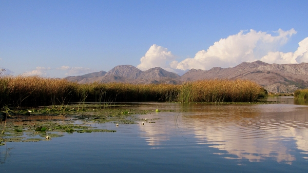 j Metkovic Neretva-rivier_0271